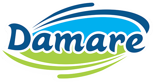 Logomarca da empresa Damare